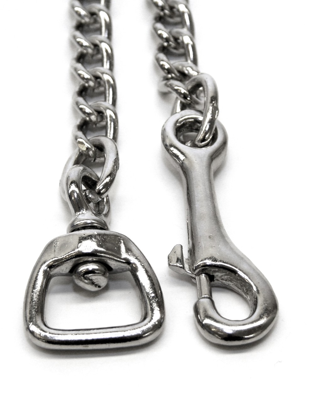 Carabiner with chain and swivel